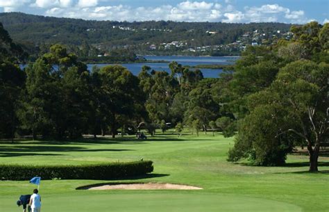 pambula merimbula golf club website.